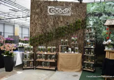 Cocoon is another highlight of Hassinger. They introduced it at the IPM Essen and they are selling it to retailers and wholesalers for a couple of months now and according to Jasmin Hassinger, the demand is good. “It is also a trend to have a ‘Jungle’ at home. On top of that, it is easy to care of.”